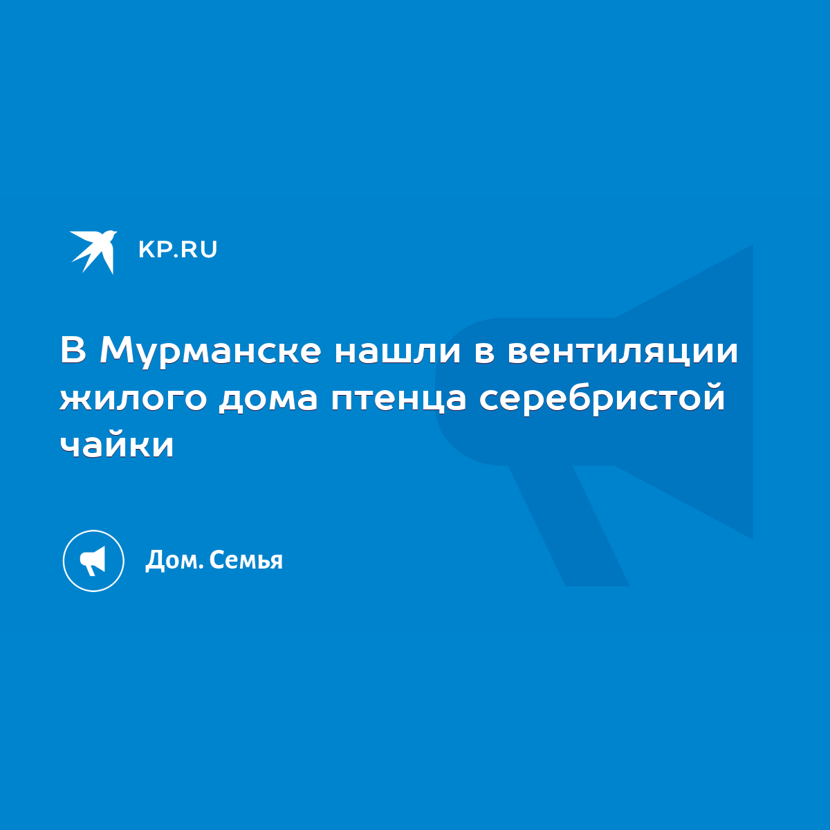 В Мурманске нашли в вентиляции жилого дома птенца серебристой чайки - KP.RU