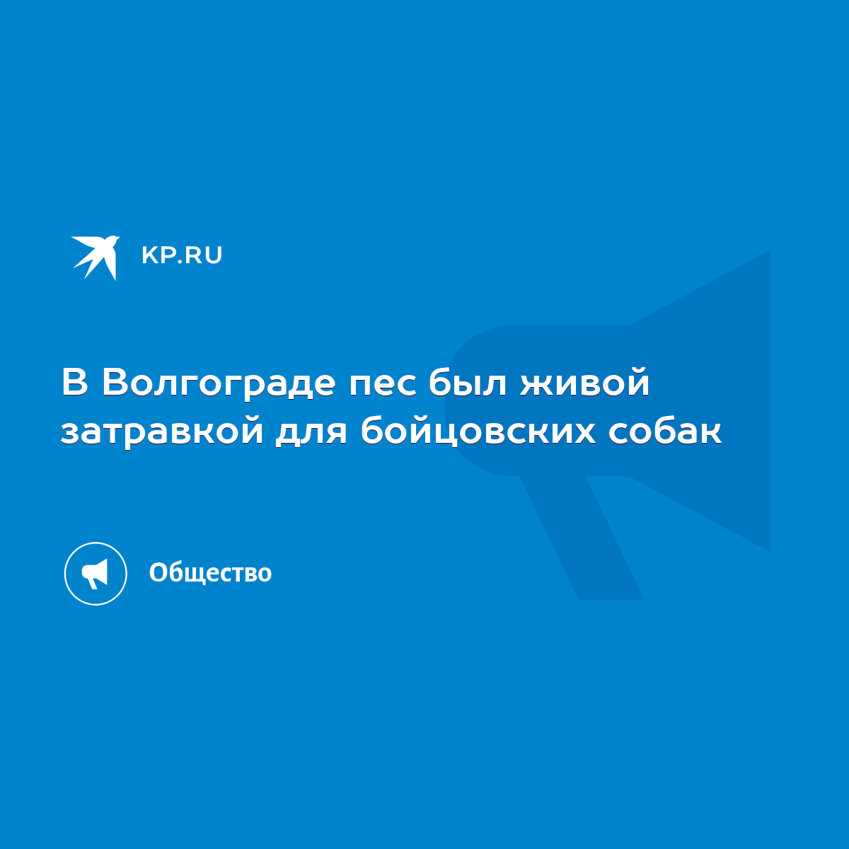 В Волгограде пес был живой затравкой для бойцовских собак - KP.RU