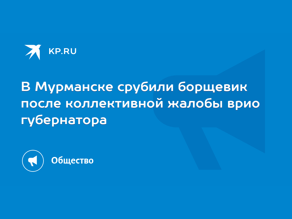 В Мурманске срубили борщевик после коллективной жалобы врио губернатора -  KP.RU