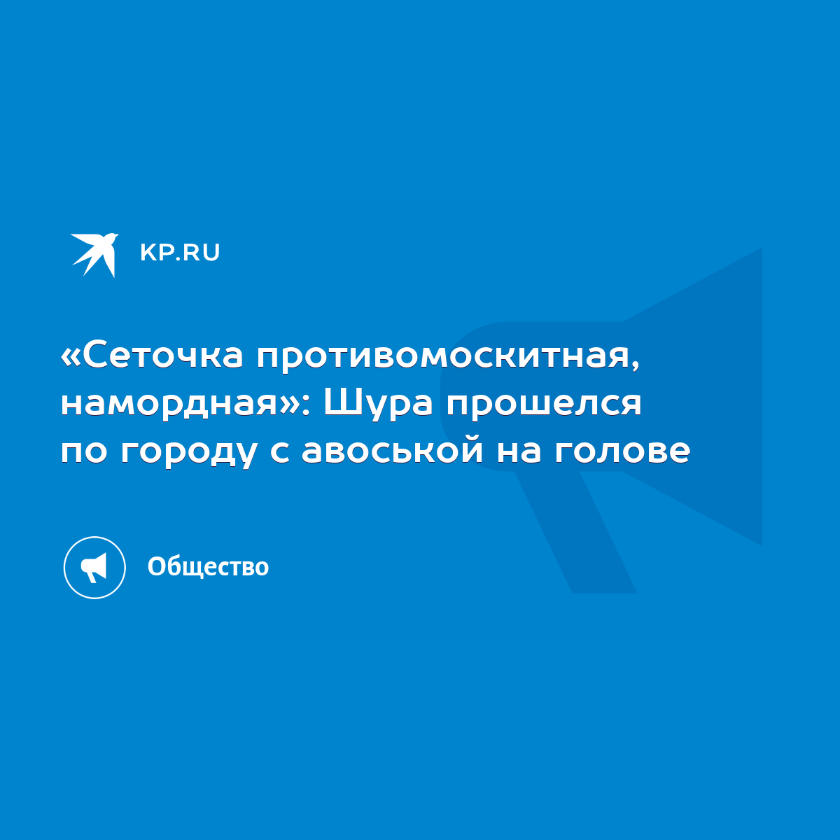 Сеточка противомоскитная, намордная»: Шура прошелся по городу с авоськой на  голове - KP.RU