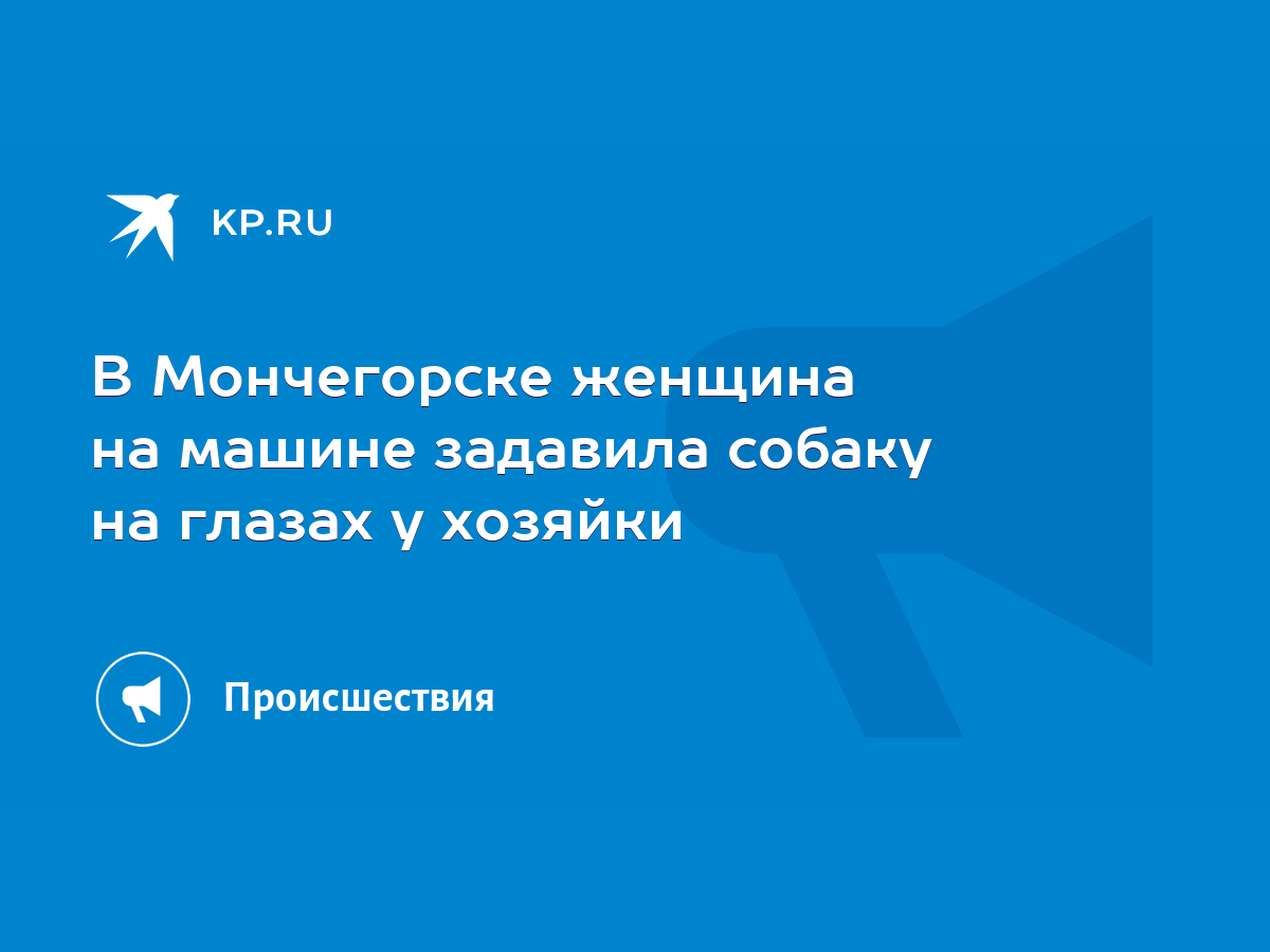 В Мончегорске женщина на машине задавила собаку на глазах у хозяйки - KP.RU