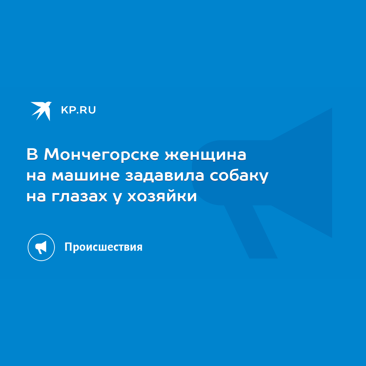 В Мончегорске женщина на машине задавила собаку на глазах у хозяйки - KP.RU