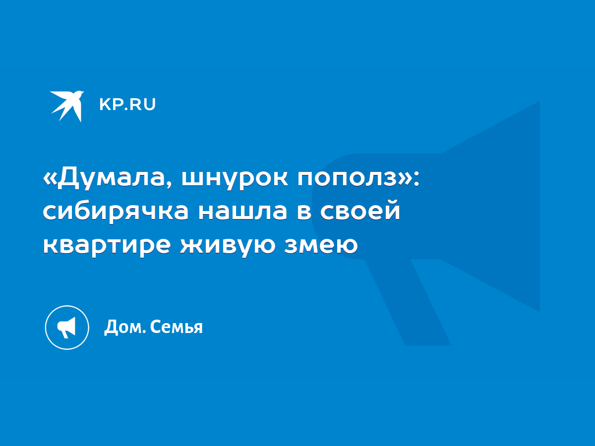 Думала, шнурок пополз»: сибирячка нашла в своей квартире живую змею - KP.RU