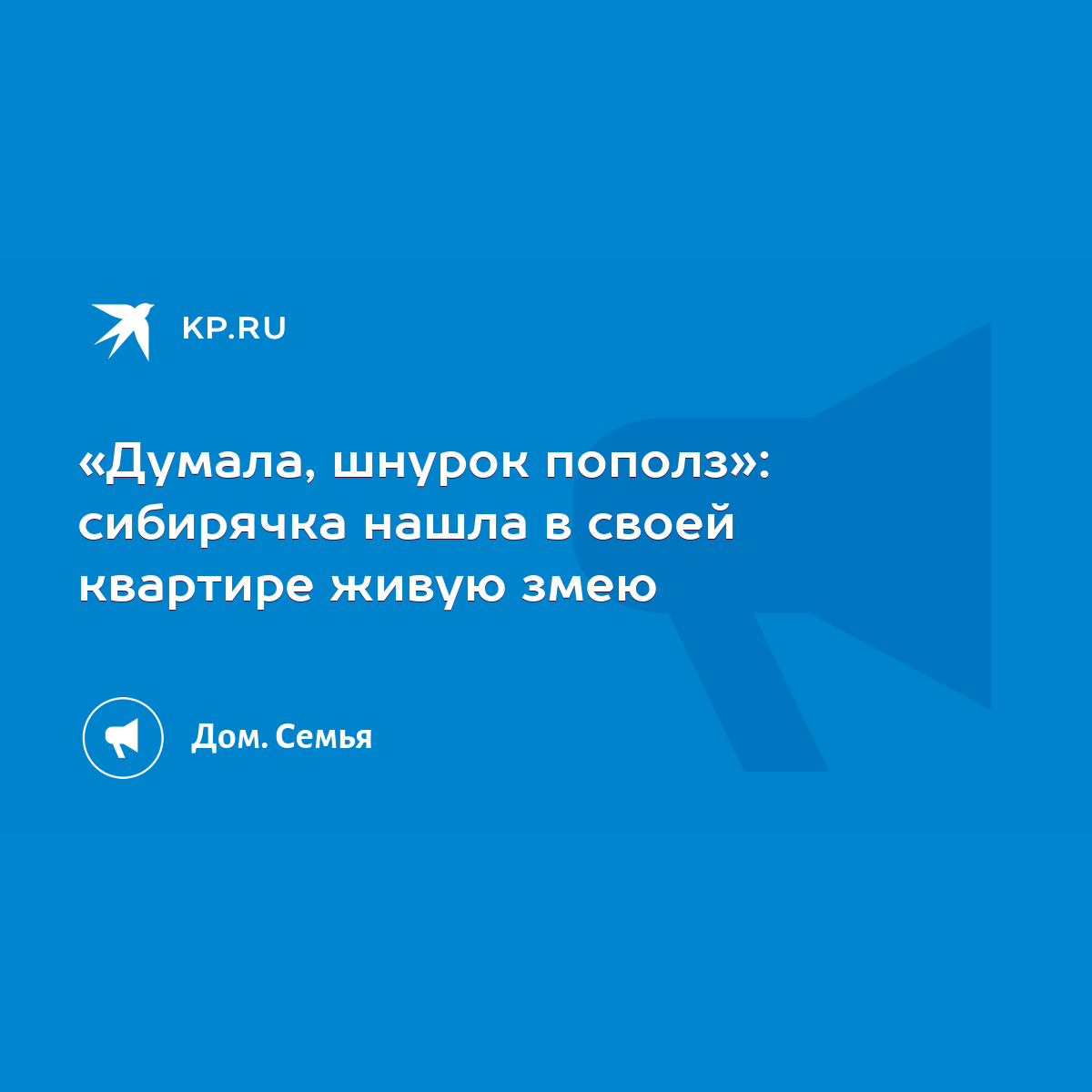 Думала, шнурок пополз»: сибирячка нашла в своей квартире живую змею - KP.RU