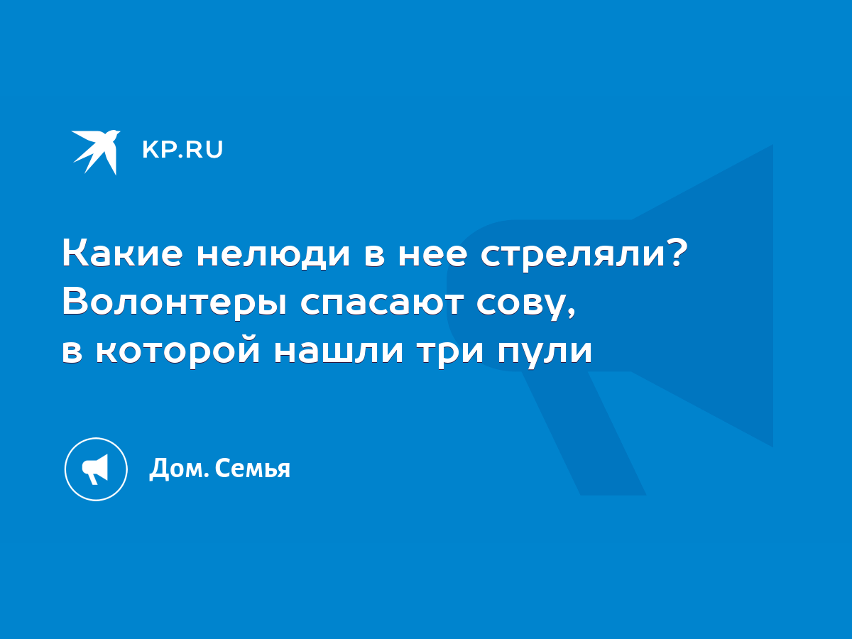 Какие нелюди в нее стреляли? Волонтеры спасают сову, в которой нашли три  пули - KP.RU