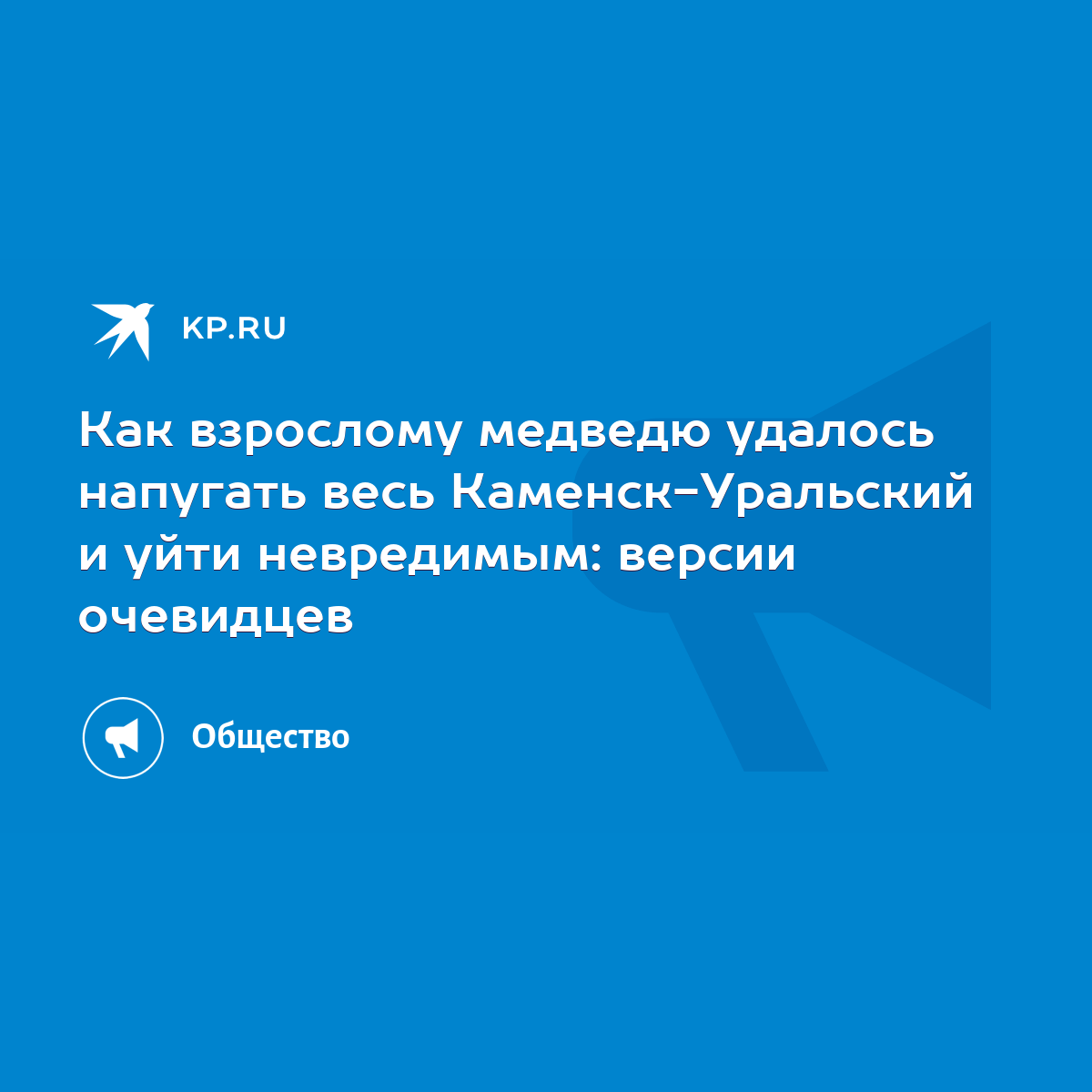 Как взрослому медведю удалось напугать весь Каменск-Уральский и уйти  невредимым: версии очевидцев - KP.RU