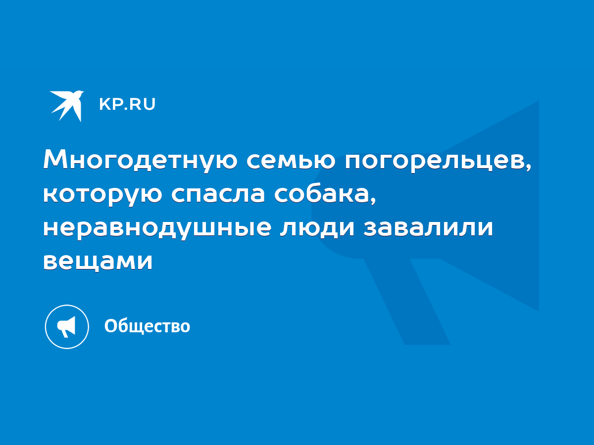 Многодетную семью погорельцев, которую спасла собака, неравнодушные люди  завалили вещами - KP.RU