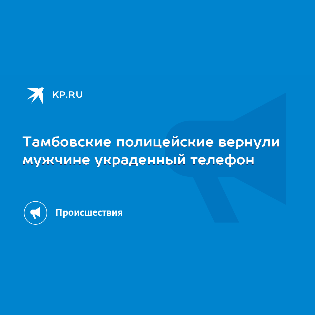 Тамбовские полицейские вернули мужчине украденный телефон - KP.RU