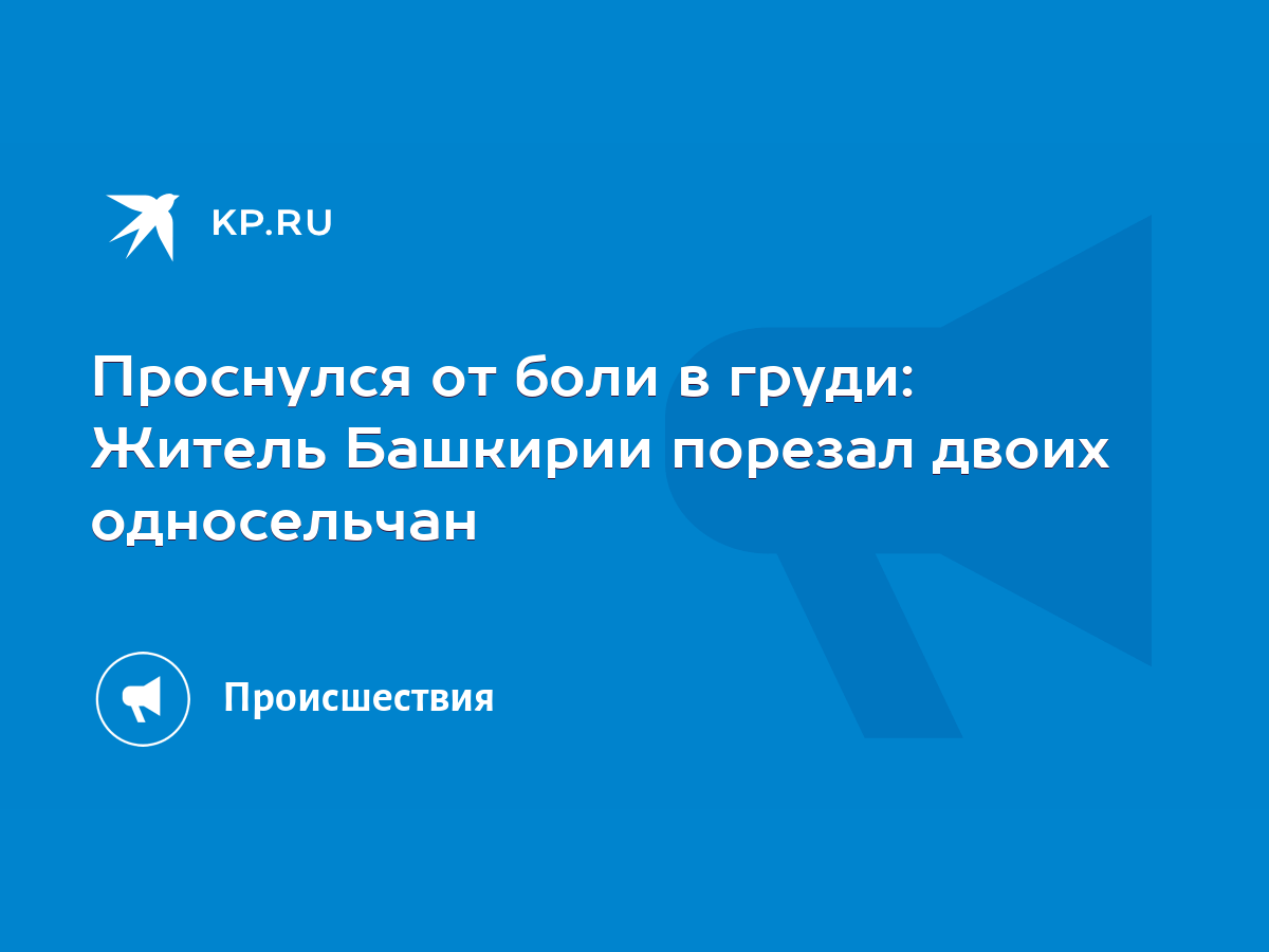 Проснулся от боли в груди: Житель Башкирии порезал двоих односельчан - KP.RU