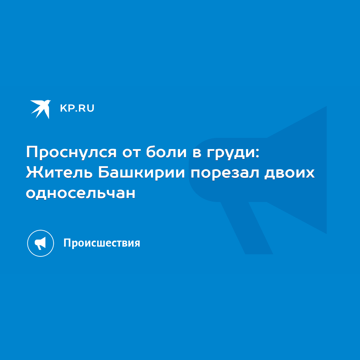 Проснулся от боли в груди: Житель Башкирии порезал двоих односельчан - KP.RU