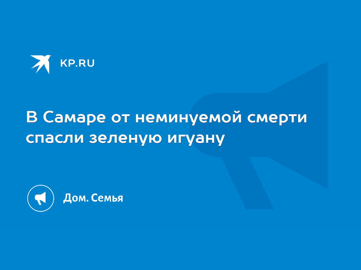 В Самаре от неминуемой смерти спасли зеленую игуану - KP.RU