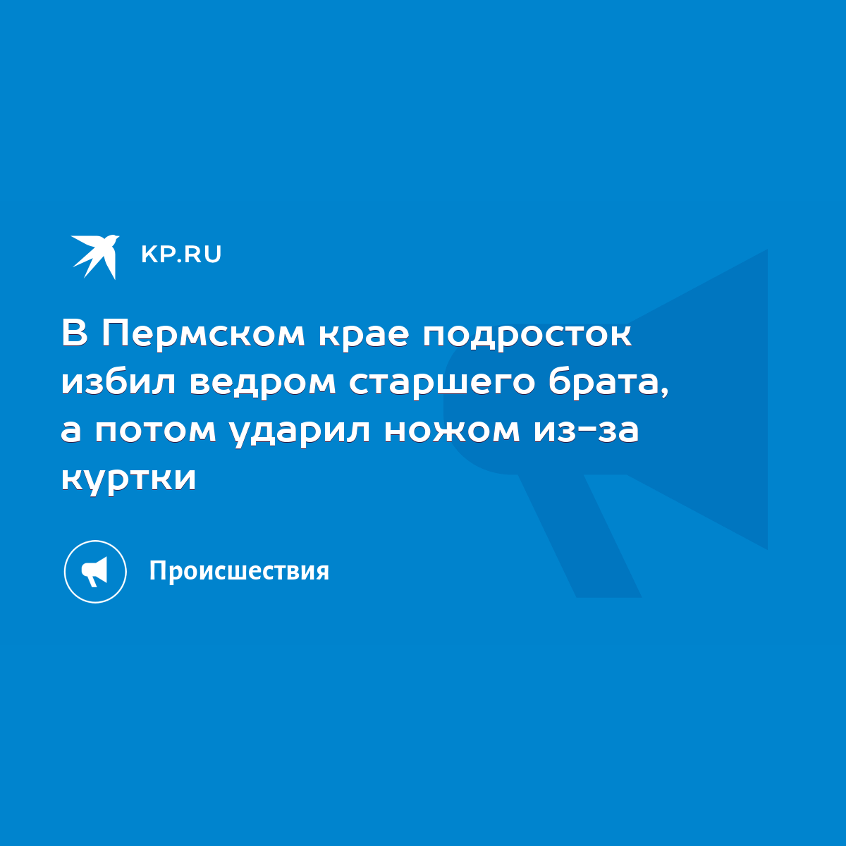 В Пермском крае подросток избил ведром старшего брата, а потом ударил ножом  из-за куртки - KP.RU