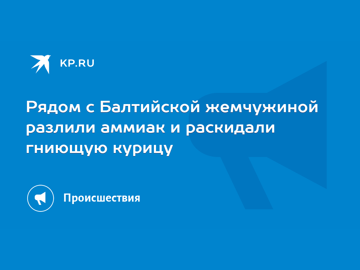 Рядом с Балтийской жемчужиной разлили аммиак и раскидали гниющую курицу -  KP.RU