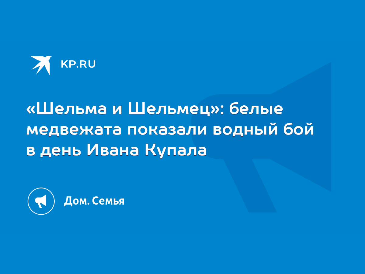 Шельма и Шельмец»: белые медвежата показали водный бой в день Ивана Купала  - KP.RU