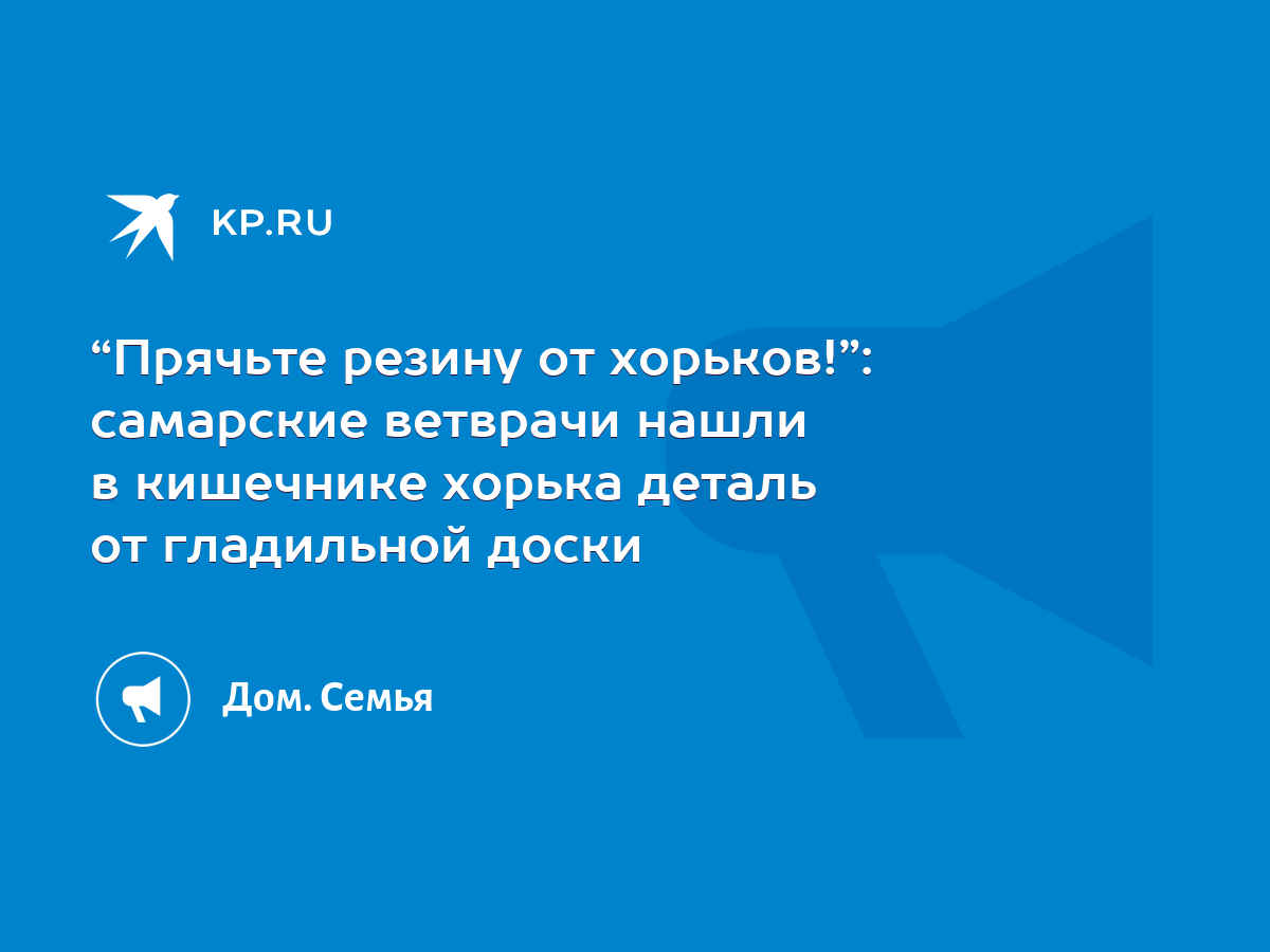 Прячьте резину от хорьков!”: самарские ветврачи нашли в кишечнике хорька  деталь от гладильной доски - KP.RU