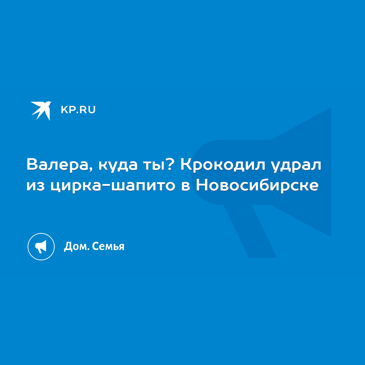 Валера, куда ты? Крокодил удрал из цирка-шапито в Новосибирске - KP.RU