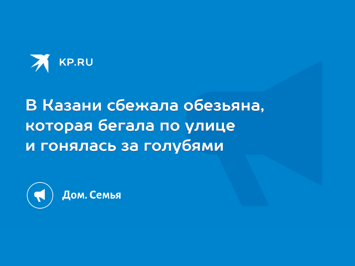 В Казани сбежала обезьяна, которая бегала по улице и гонялась за голубями -  KP.RU