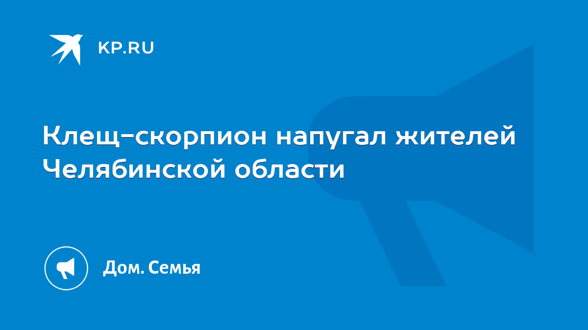 Клещ-скорпион напугал жителей Челябинской области - KP.RU