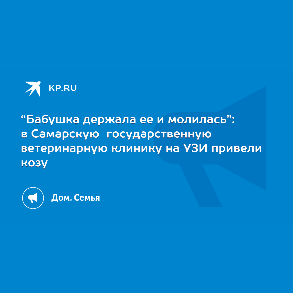 Бабушка держала ее и молилась”: в Самарскую государственную ветеринарную  клинику на УЗИ привели козу - KP.RU