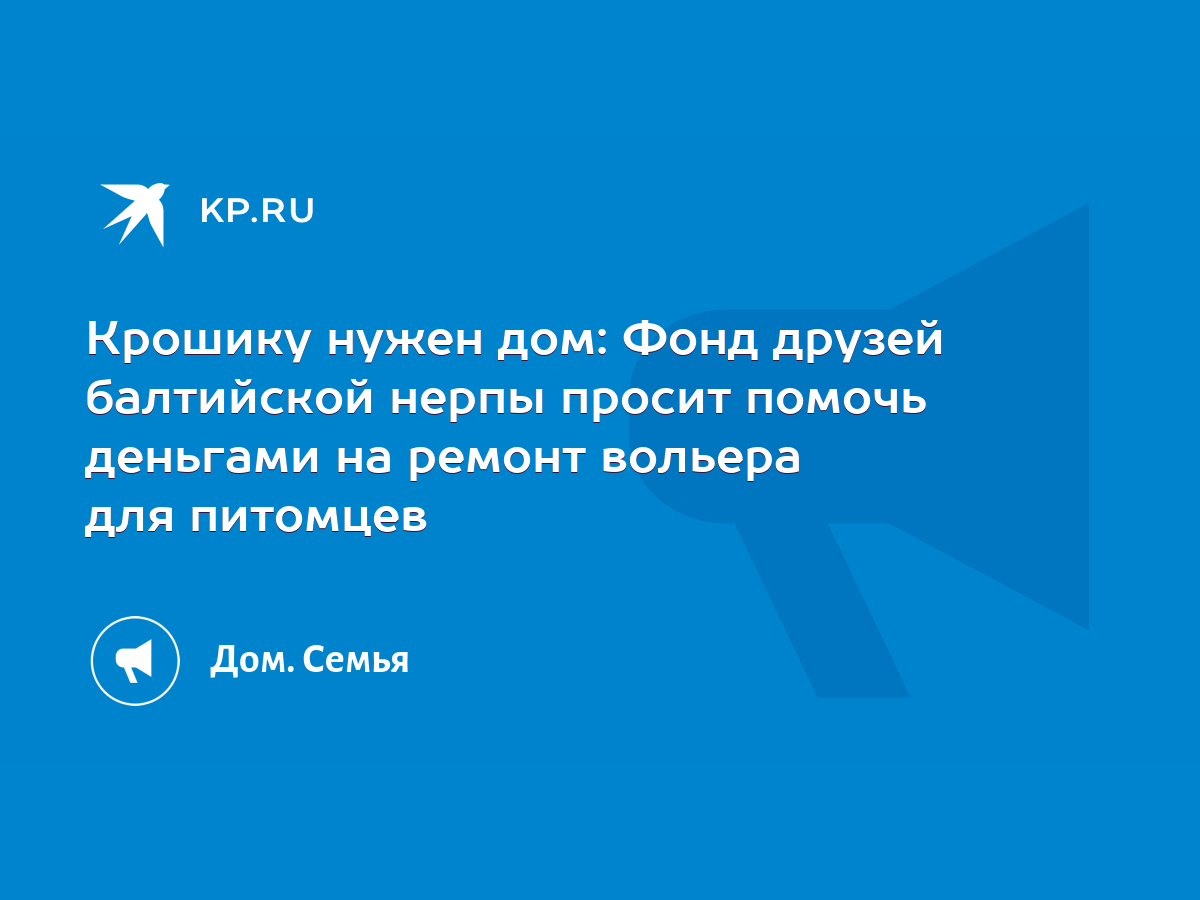 Крошику нужен дом: Фонд друзей балтийской нерпы просит помочь деньгами на  ремонт вольера для питомцев - KP.RU