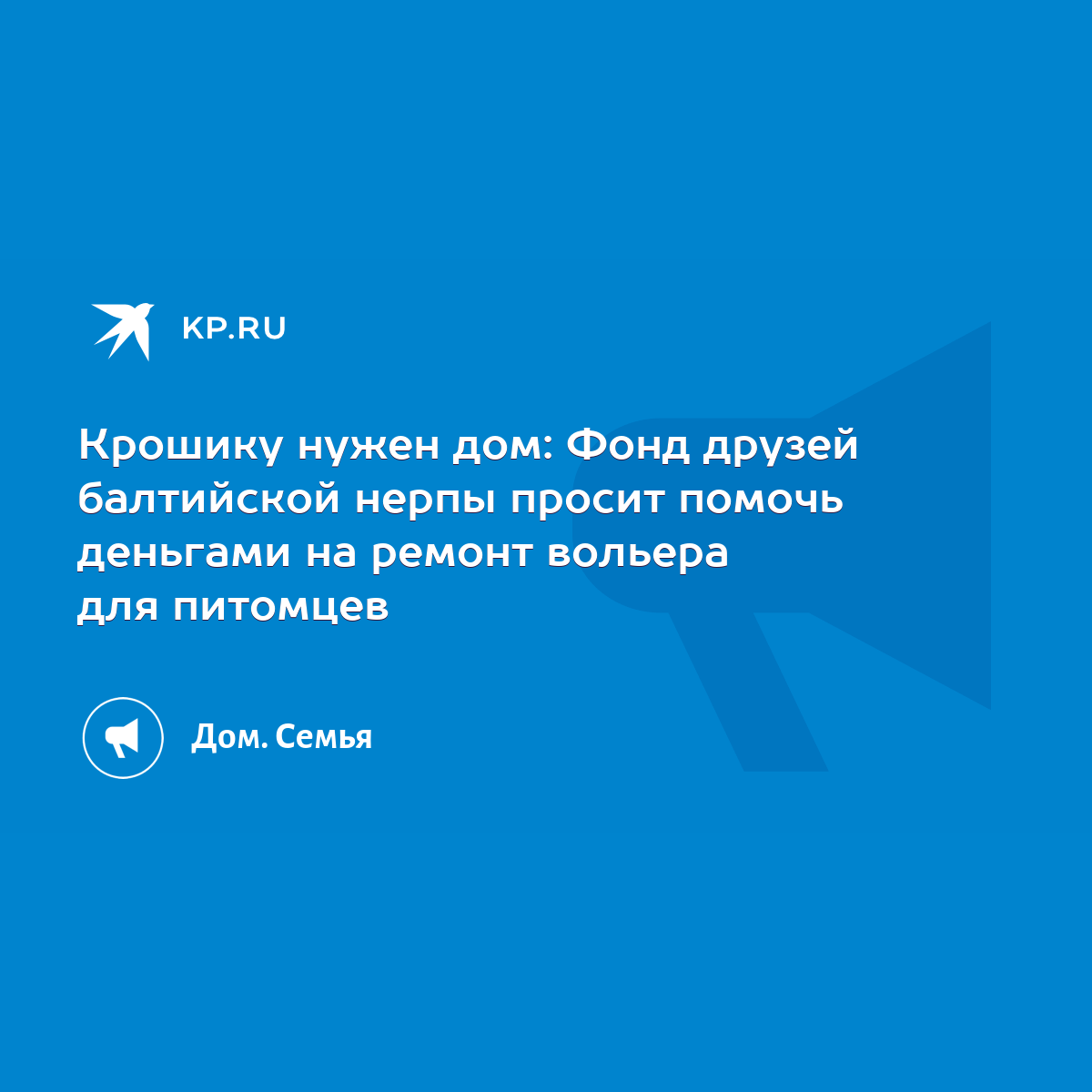 Крошику нужен дом: Фонд друзей балтийской нерпы просит помочь деньгами на  ремонт вольера для питомцев - KP.RU