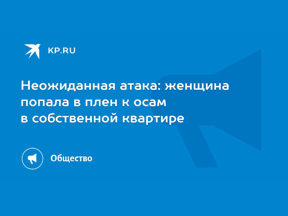 Неожиданная атака: женщина попала в плен к осам в собственной квартире -  KP.RU