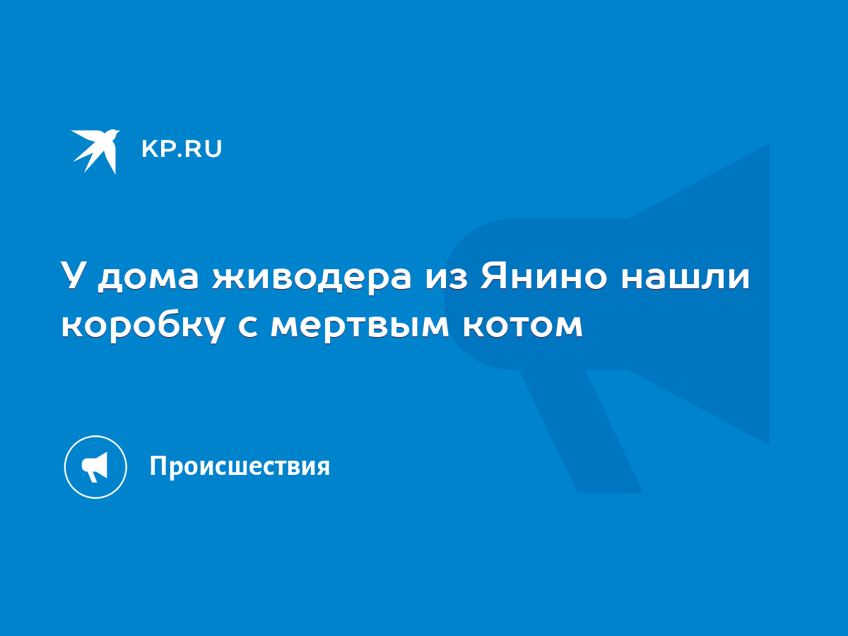 У дома живодера из Янино нашли коробку с мертвым котом - KP.RU