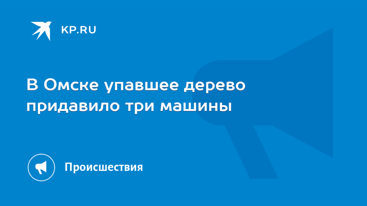 В Омске упавшее дерево придавило три машины - KP.RU