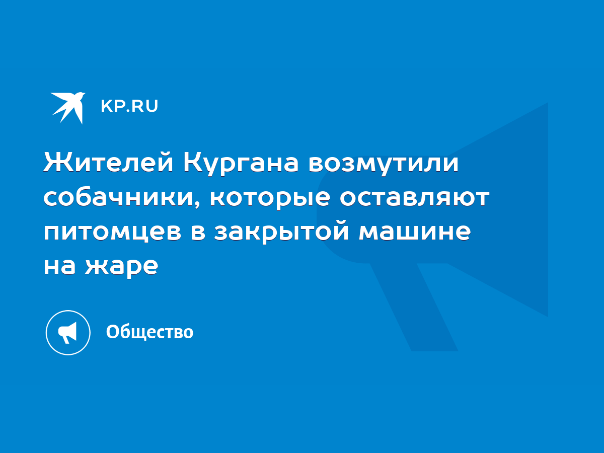 Жителей Кургана возмутили собачники, которые оставляют питомцев в закрытой  машине на жаре - KP.RU