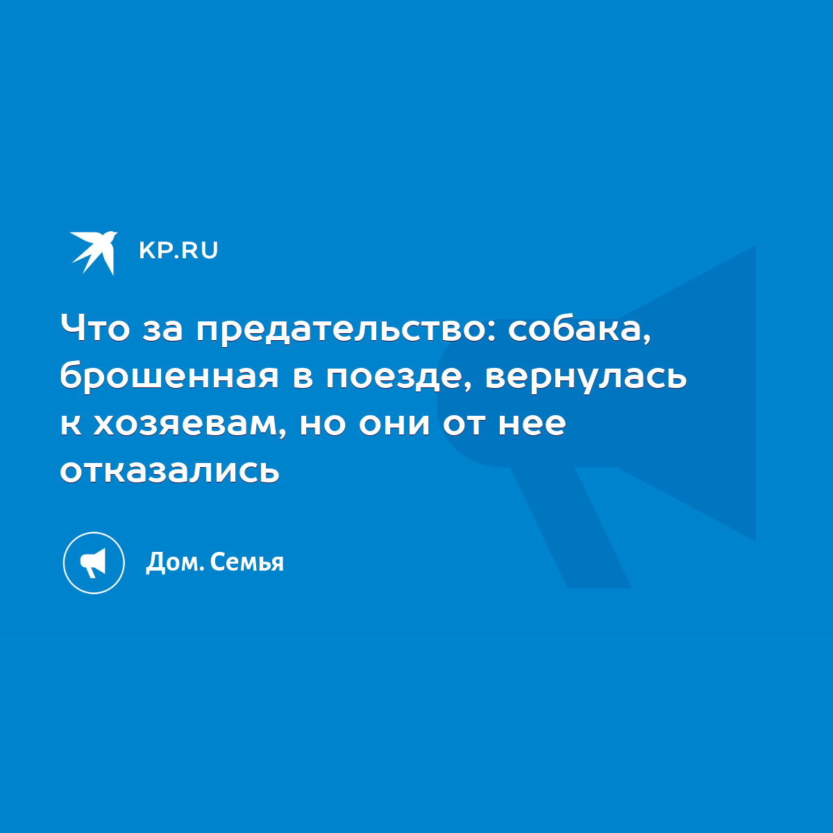 Что за предательство: собака, брошенная в поезде, вернулась к хозяевам, но  они от нее отказались - KP.RU