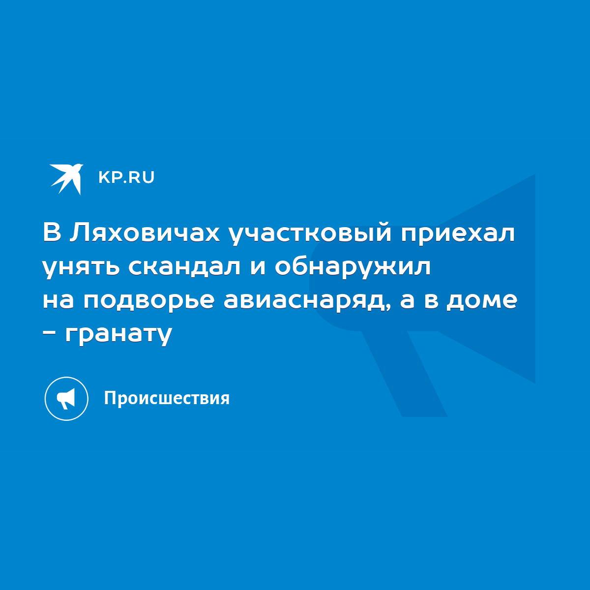 В Ляховичах участковый приехал унять скандал и обнаружил на подворье  авиаснаряд, а в доме - гранату - KP.RU