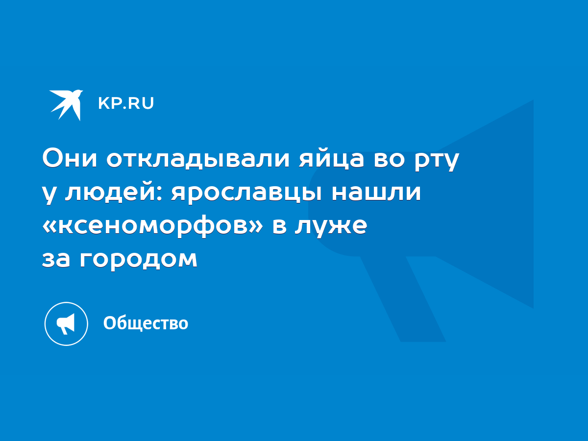 Они откладывали яйца во рту у людей: ярославцы нашли «ксеноморфов» в луже  за городом - KP.RU