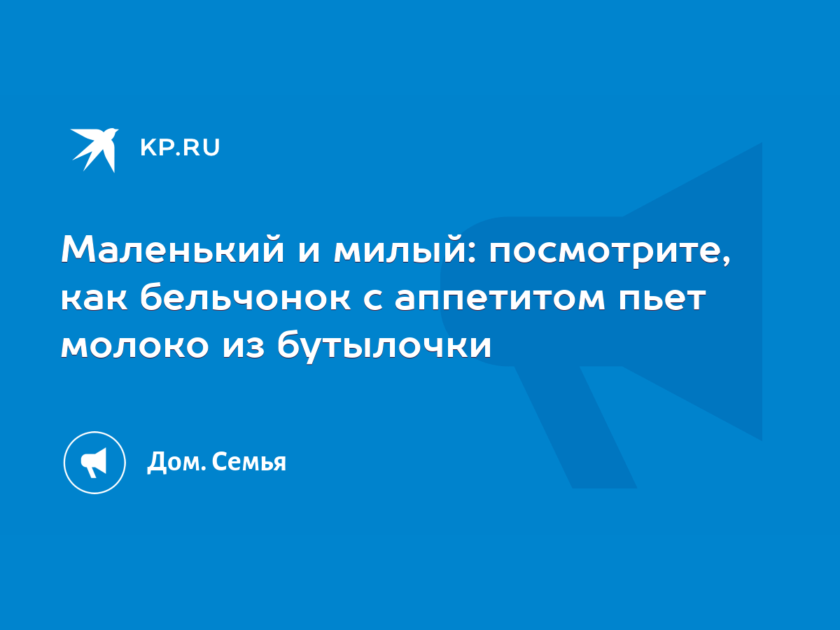 Маленький и милый: посмотрите, как бельчонок с аппетитом пьет молоко из  бутылочки - KP.RU