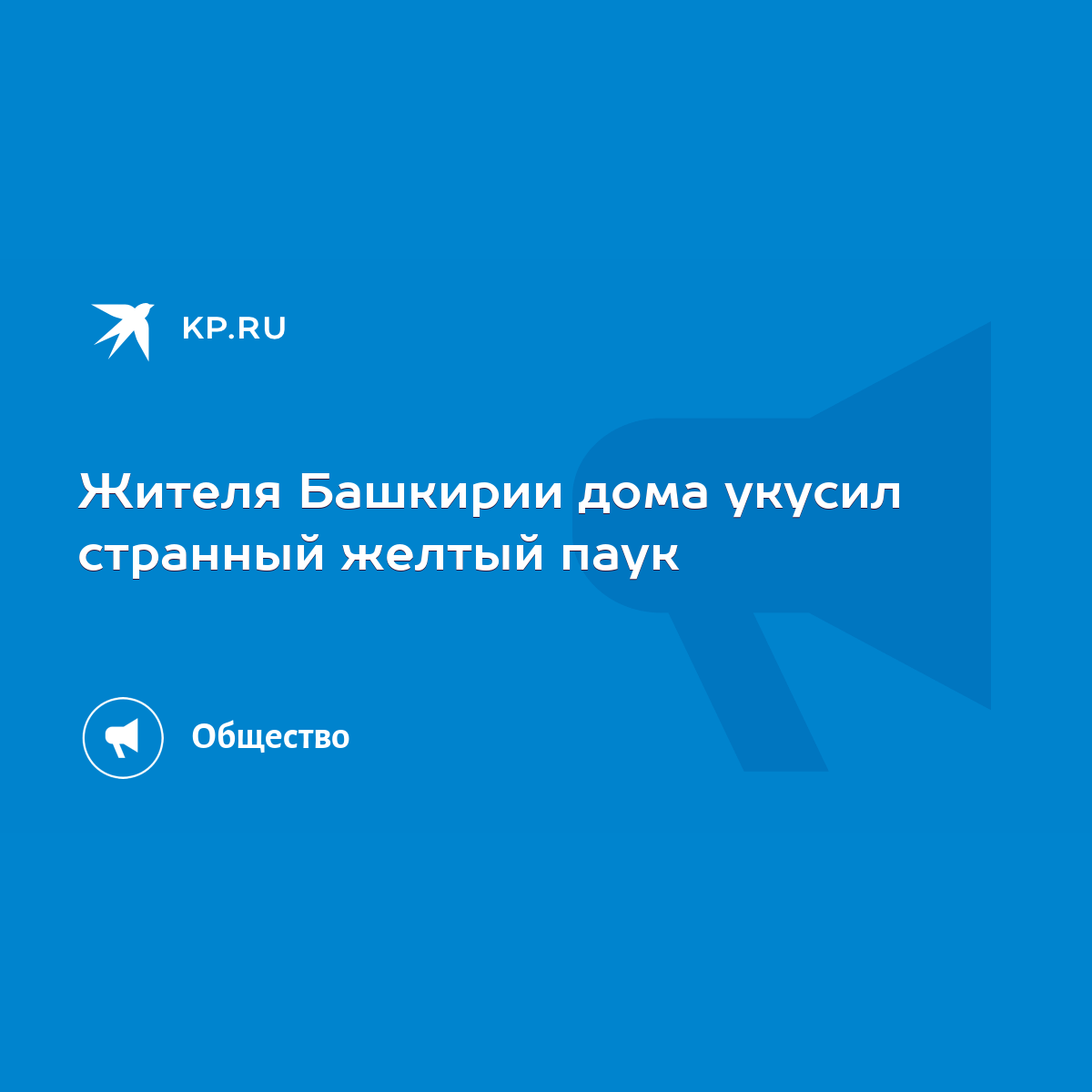 Жителя Башкирии дома укусил странный желтый паук - KP.RU