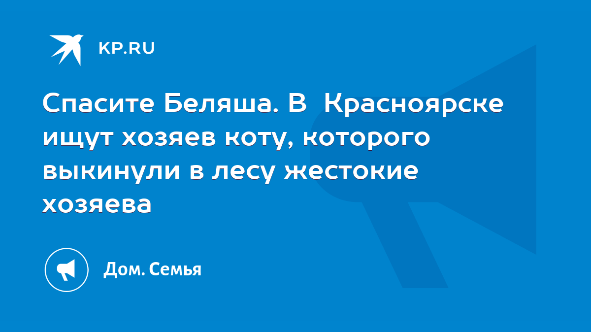 Спасите Беляша. В Красноярске ищут хозяев коту, которого выкинули в лесу  жестокие хозяева - KP.RU