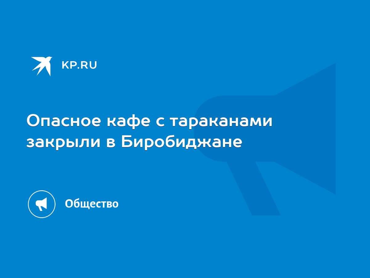 Опасное кафе с тараканами закрыли в Биробиджане - KP.RU