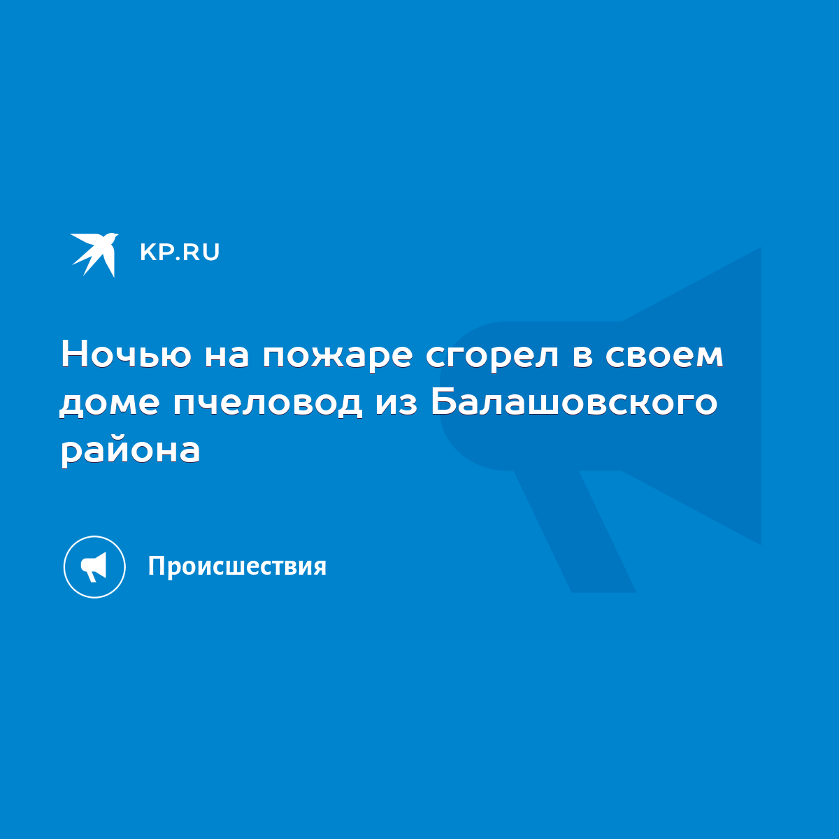 Ночью на пожаре сгорел в своем доме пчеловод из Балашовского района - KP.RU