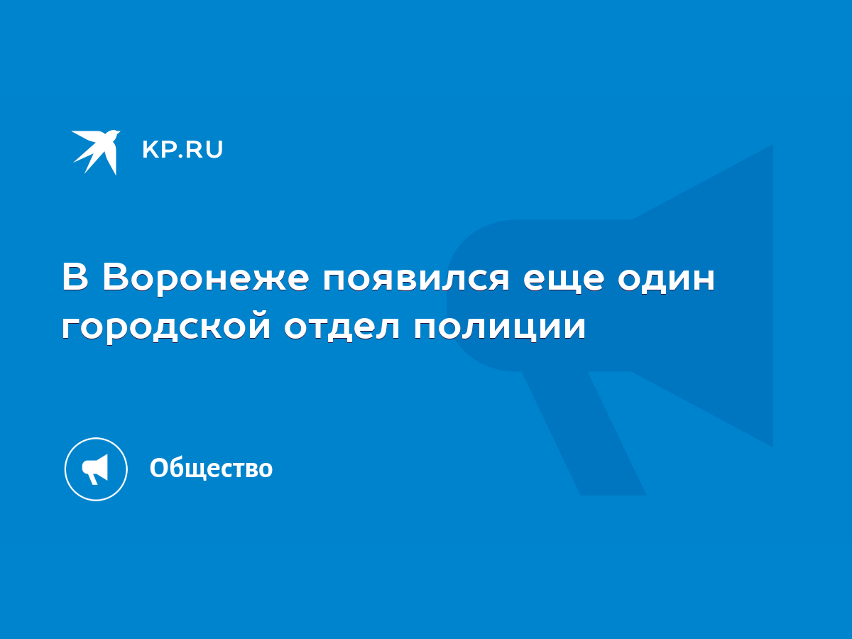 В Воронеже появился еще один городской отдел полиции - KP.RU