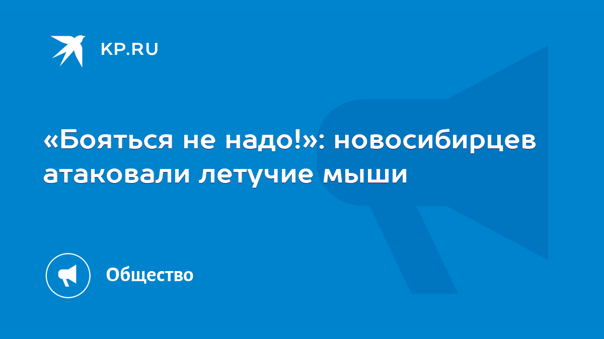 Бояться не надо!»: новосибирцев атаковали летучие мыши - KP.RU