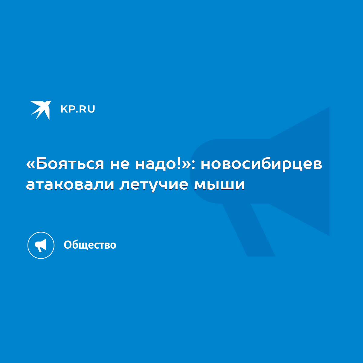 Бояться не надо!»: новосибирцев атаковали летучие мыши - KP.RU