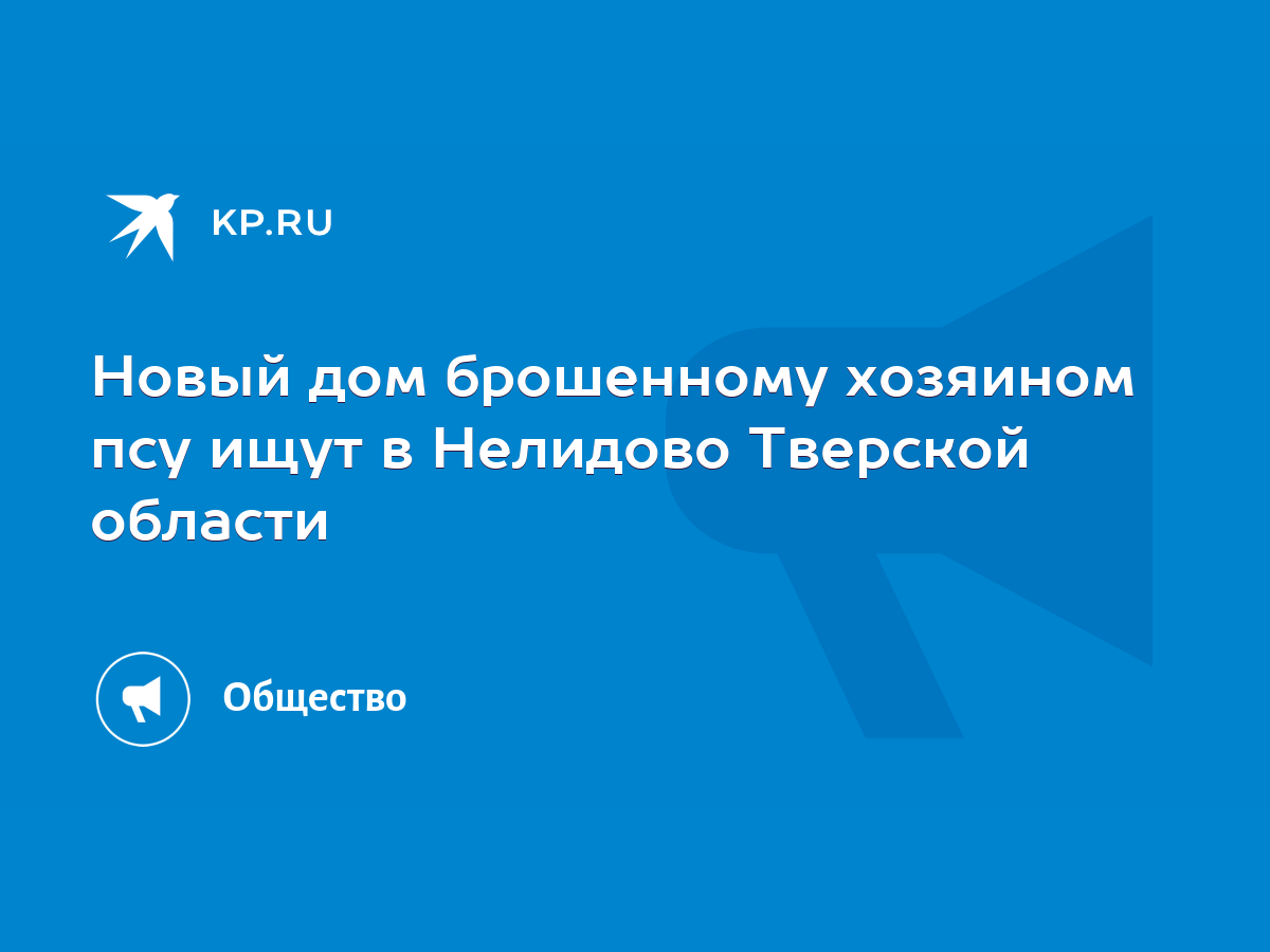 Новый дом брошенному хозяином псу ищут в Нелидово Тверской области - KP.RU