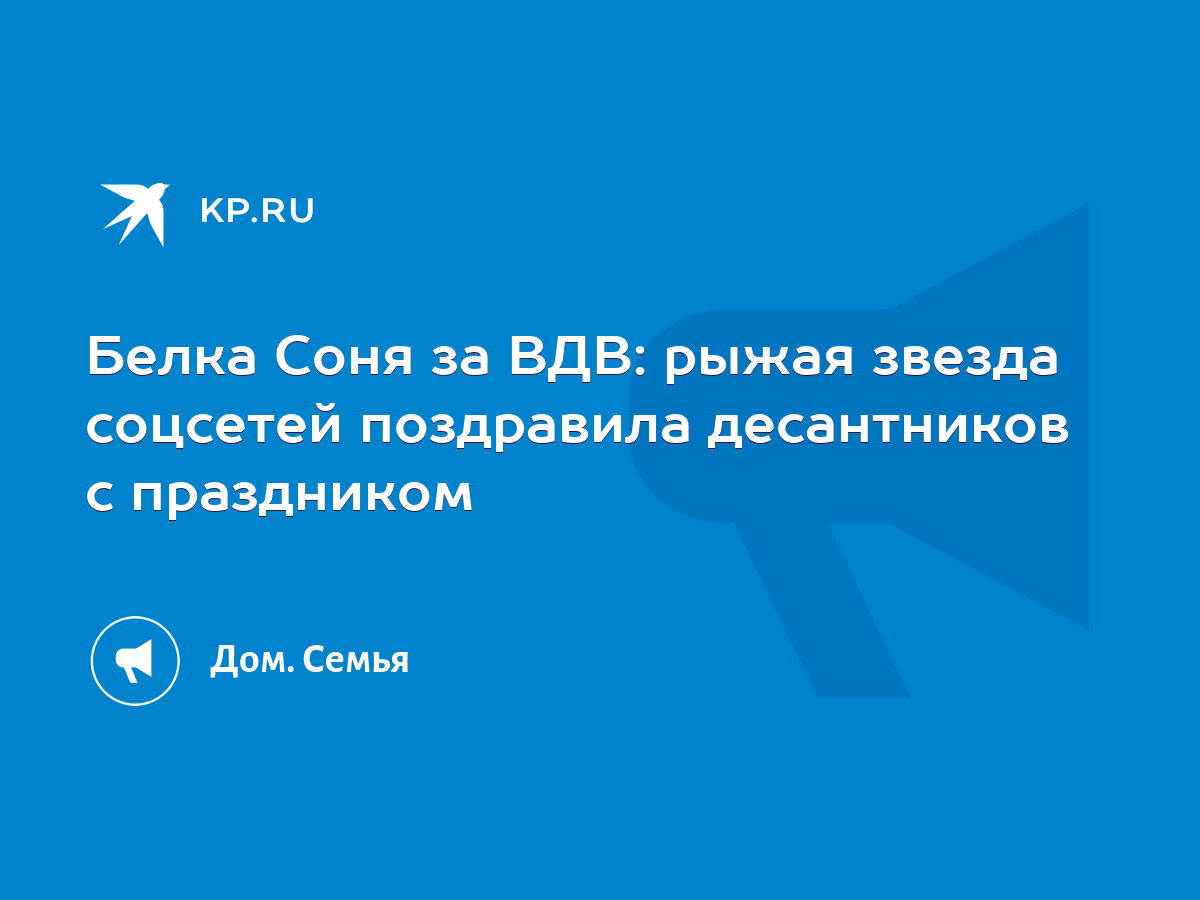 Белка Соня за ВДВ: рыжая звезда соцсетей поздравила десантников с  праздником - KP.RU