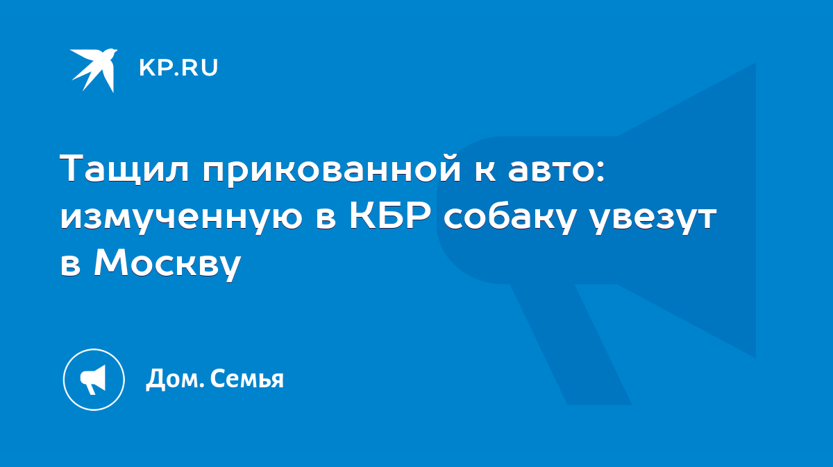 Тащил прикованной к авто: измученную в КБР собаку увезут в Москву - KP.RU