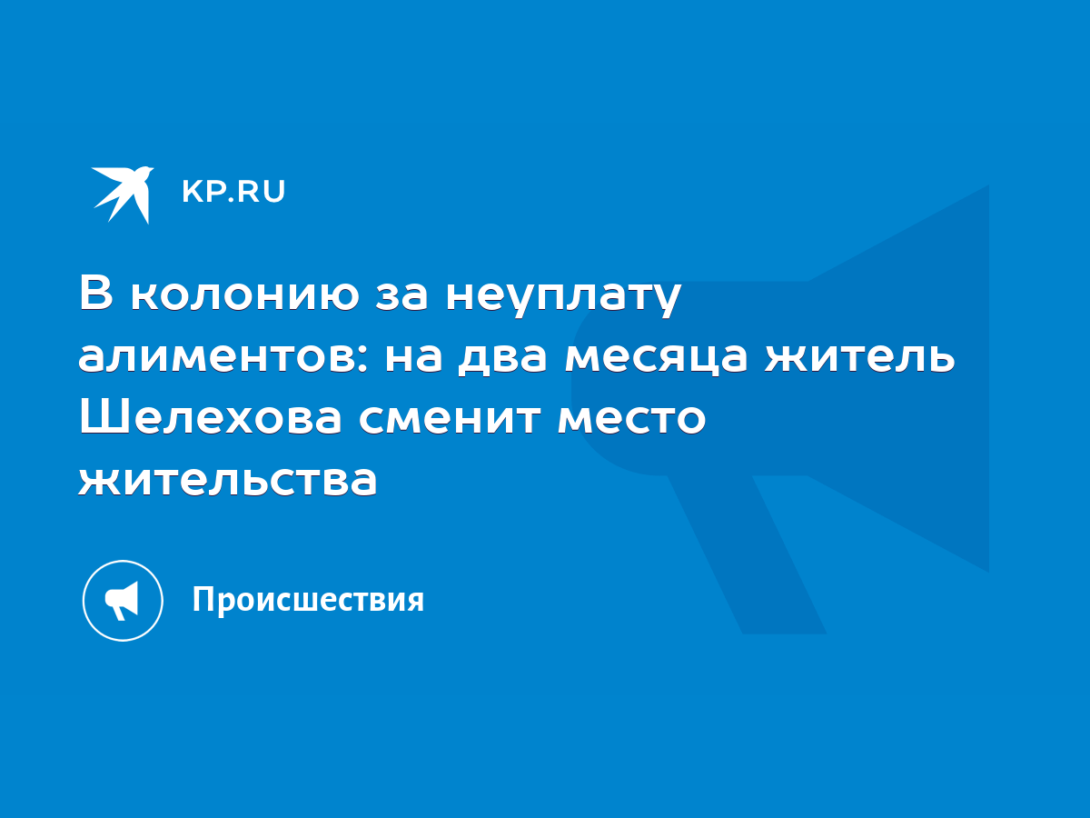 В колонию за неуплату алиментов: на два месяца житель Шелехова сменит место  жительства - KP.RU