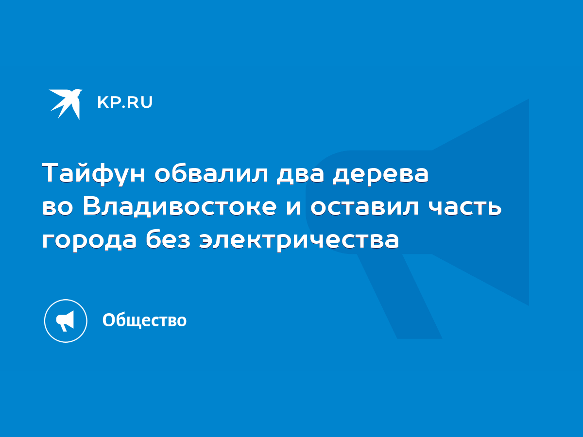 Тайфун обвалил два дерева во Владивостоке и оставил часть города без  электричества - KP.RU