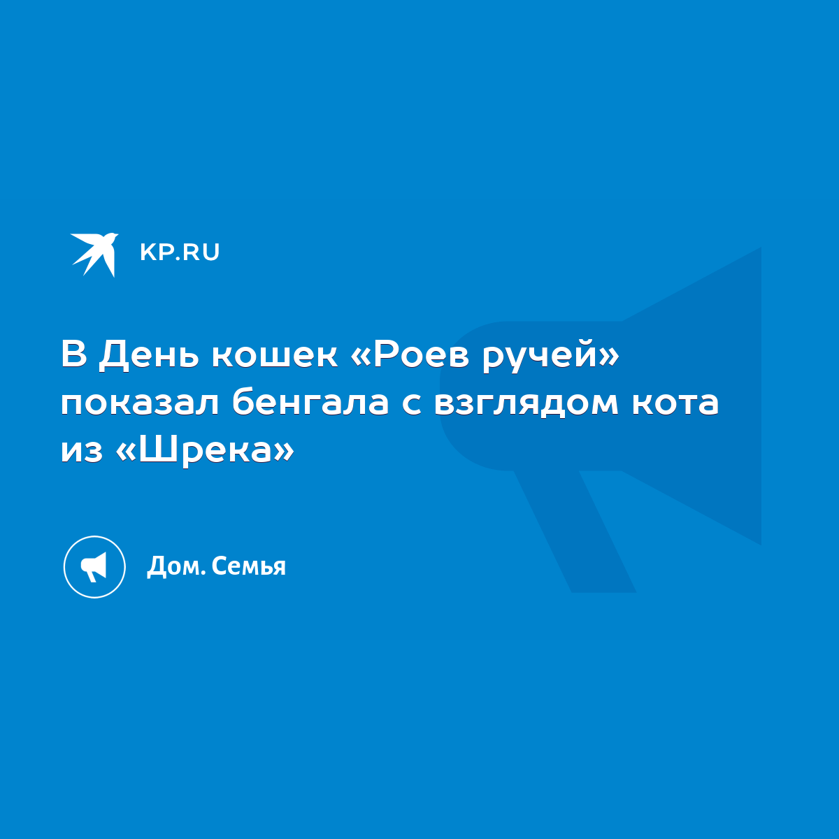 В День кошек «Роев ручей» показал бенгала с взглядом кота из «Шрека» - KP.RU