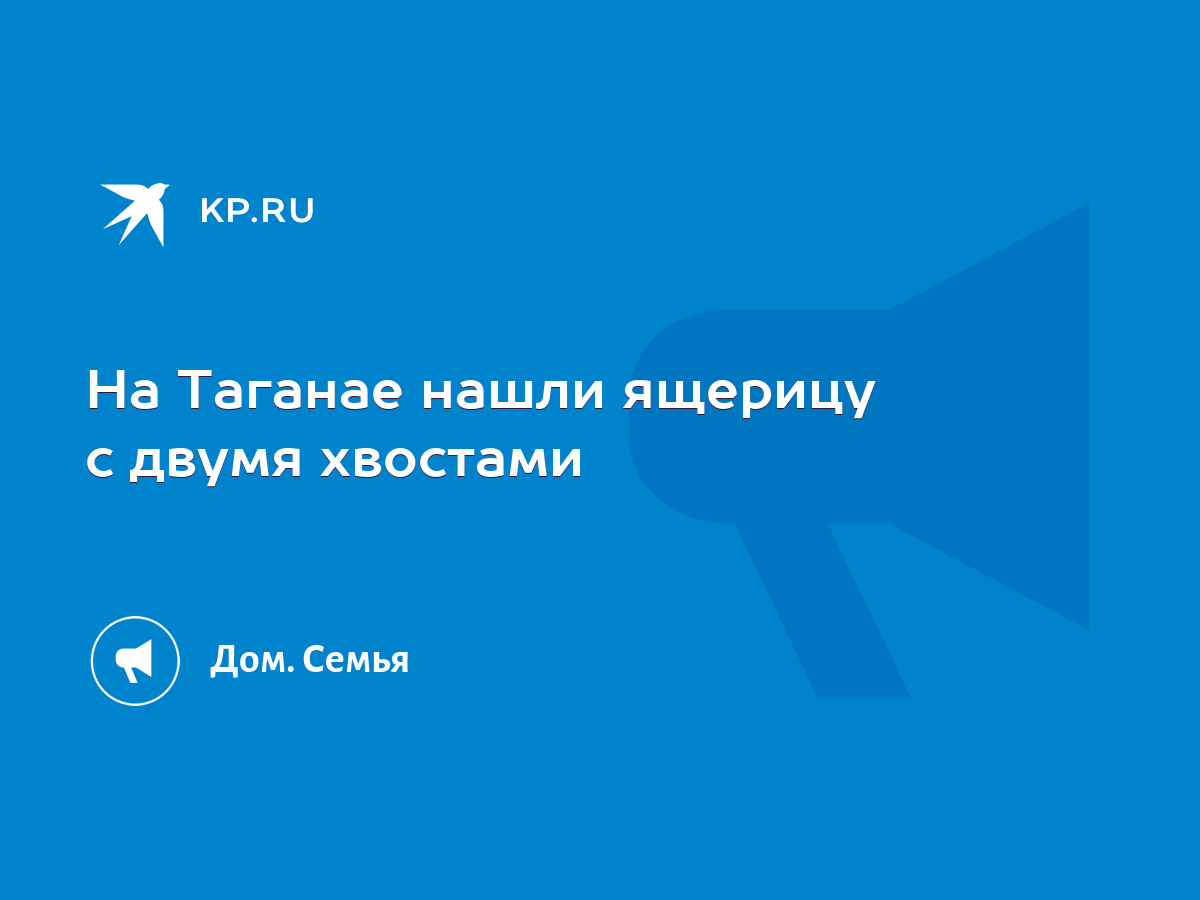 На Таганае нашли ящерицу с двумя хвостами - KP.RU