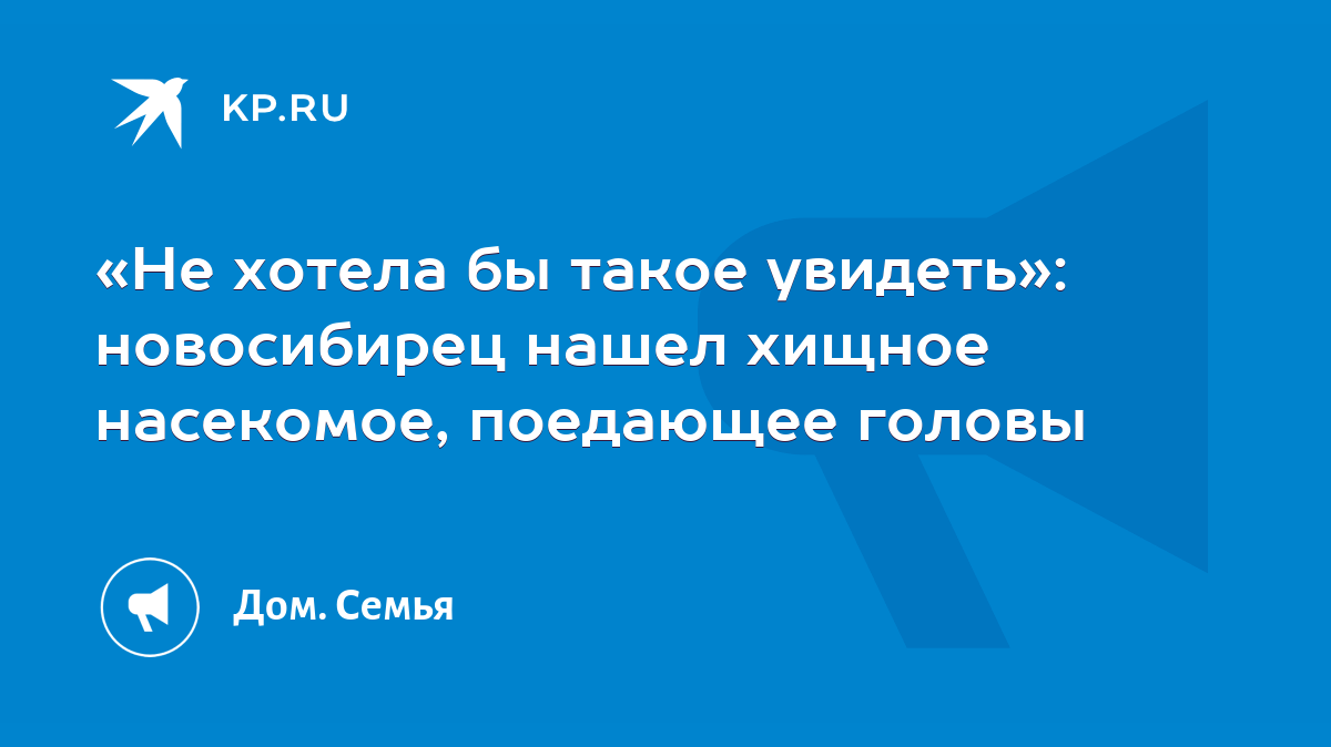 Не хотела бы такое увидеть»: новосибирец нашел хищное насекомое, поедающее  головы - KP.RU