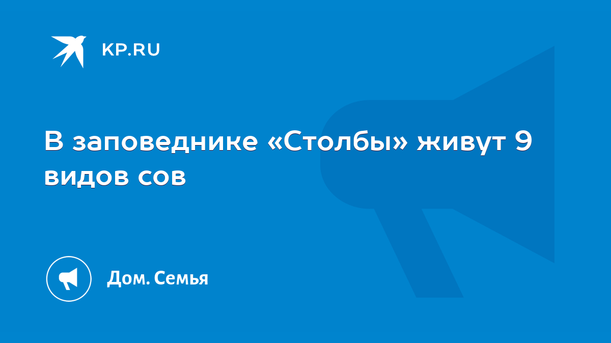 В заповеднике «Столбы» живут 9 видов сов - KP.RU