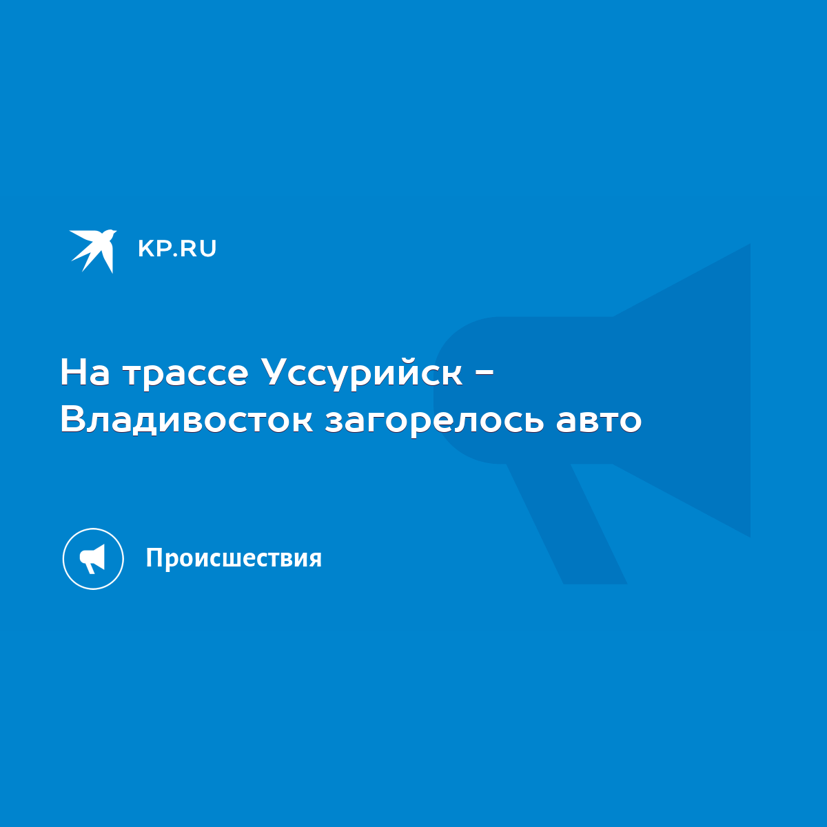 На трассе Уссурийск - Владивосток загорелось авто - KP.RU